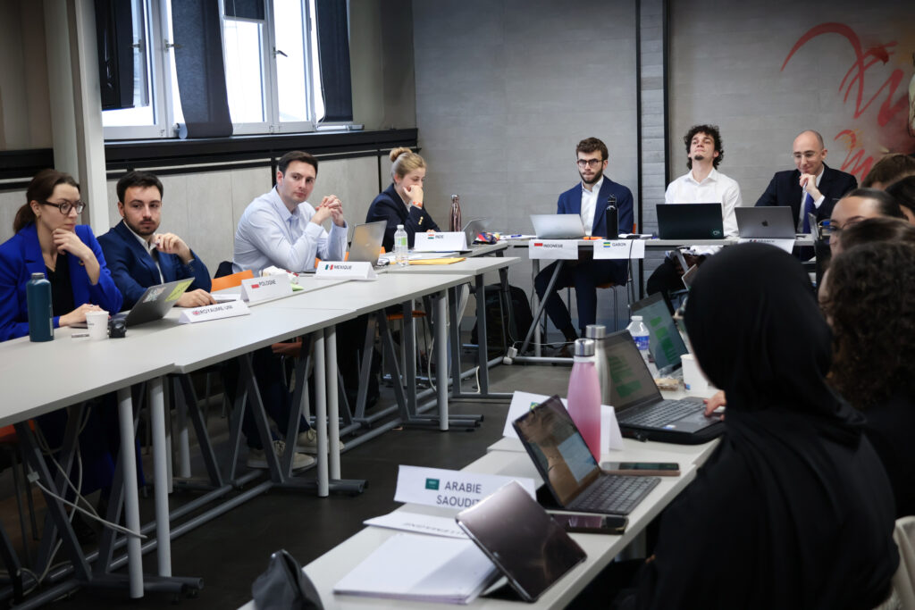 De l’écran à la table des négociations : les étudiants en formation à distance en simulation ONU